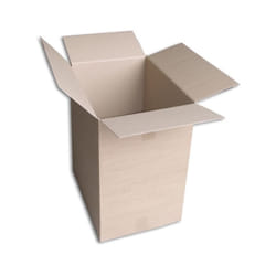 Enveloppebulle - Lot de 25 Boîtes carton (N°63) format 500x360x570 mm