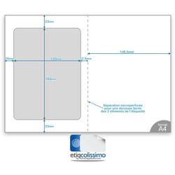 Lot de 500 Planches A4 avec étiquette colissimo intégrée 150 x 100 mm