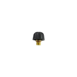 Bouchon pour Centrale Vapeur Astoria 500593292