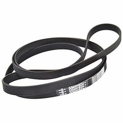 Courroie H6/H7 1860MM pour seche linge Indesit C00112156
