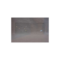 Glace de bac a legumes (526X205X4) pour refrigerateur...
