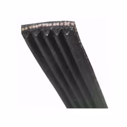 Courroie 1175J5 MAEL pour lave-linge BRANDT, FAGOR, VEDETTE, DE DIETRICH, THOMSON, SANGIORGIO, CAPLE, CDA, CRYSTAL 96X2024 Ap ...