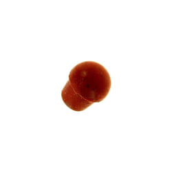 Magimix - Bouton de soupape (298391-4901) (502226) Cafetière, Expresso 2983913662734668535