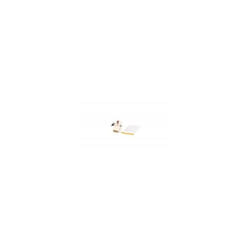 INTERRUPTEUR, Lave-vaisselle, 00165379
