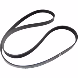 Courroie 1233H8 compatible pour lave linge CONTACT, SERVIS, FAR, DOMAN, FUNIX, LISTO, SABA 416004300 Appareils compatibles :  ...