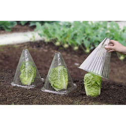 Wenko - 6 Housses pour plants