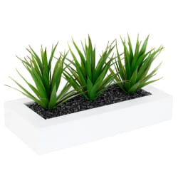 Atmosphera Centre de table Aloe vera