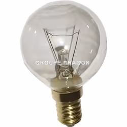 Lampe E14 40W - BOSCH - Pour Four - 1000h de vie - 230/240V - Pièce dorigine