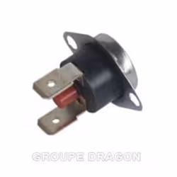 Thermostat securite 167°c (rearmable) pour sèch…