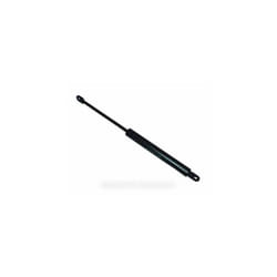 Verin porte micro-onde 300N pour micro ondes indesit