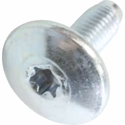Vis M8X23 Torx d'origine pour lave-linge 2I MARCHI, ARISTON HOTPOINT, ARTHUR MARTIN ELECTROLUX, CREDA, INDESIT, SCHOLTES, WHI ...