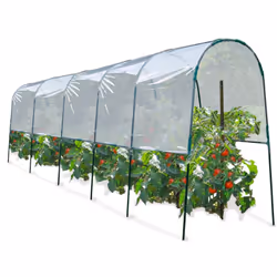 Vous rêvez de belles tomates, plus grosses, plus goutteuses, qui poussent plus vite et plus longtemps...?Ne cherchez plus, no ...
