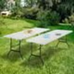 IDMARKET Lot de 2 tables pliantes portables 180 CM pour camping ou réception