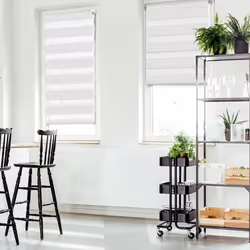 IDMARKET Lot de 2 stores enrouleurs zébrés jour nuit l.55 x H. max 170 CM blancs