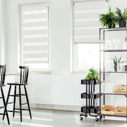 IDMARKET Lot de 2 stores enrouleurs zébrés jour nuit l.55 x H. max 170 CM blancs