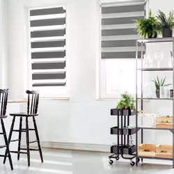 IDMARKET Lot de 2 stores enrouleurs zébrés jour nuit l.55 x H. max 170 CM gris