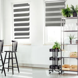 IDMARKET Lot de 2 stores enrouleurs zébrés jour nuit l.55 x H. max 170 CM gris