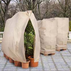 IDMARKET Lot de 3 housses dhivernage pour plante et arbuste 80 x 160 cm