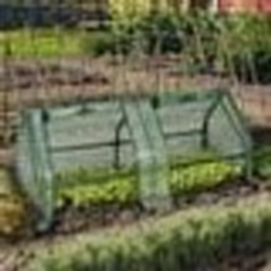 IDMARKET Serre châssis de jardin spéciale forçage L.120 CM verte