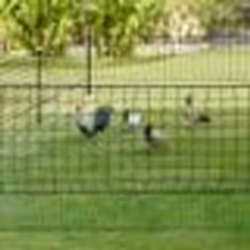 IDMARKET Kit clôture filet à poules 50 M avec porte 15 piquets double pointe