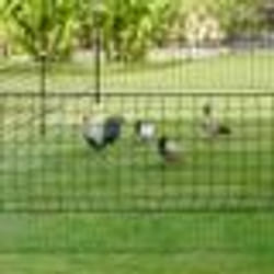 IDMARKET Kit clôture filet à poules 50 M avec porte 15 piquets double pointe