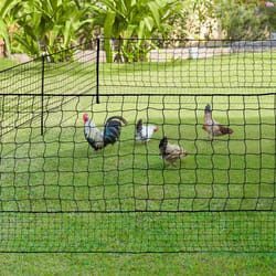 IDMARKET Kit clôture filet à poules 24 M avec porte 9 piquets double pointe