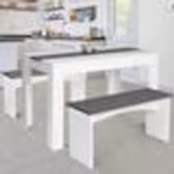 IDMARKET Ensemble table à manger et 2 bancs ROZY 4 personnes blanc et gris 110 cm