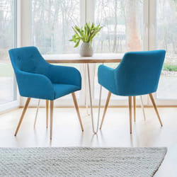 IDMARKET Lot de 2 chaises de salle à manger DANIA scandinaves bleu