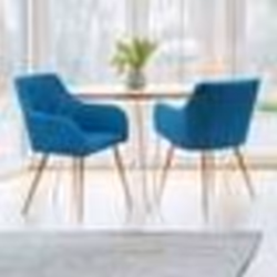 IDMARKET Lot de 2 chaises de salle à manger scandinaves fauteuils de table DANIA bleu canard