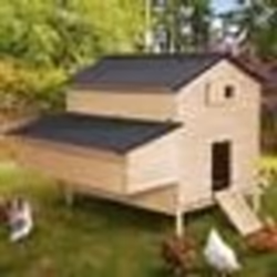 IDMARKET Poulailler chalet XXL pour poules avec pondoir en bois
