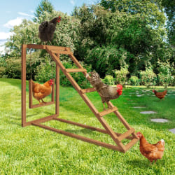 MARKET Aire de jeux bois poules avec balançoire