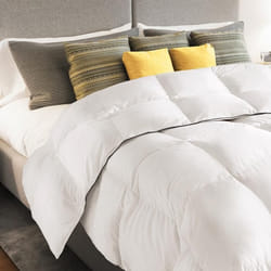 IDMARKET Couette 220x240 CM AELA blanche en plume doie anti acarien 500 gr