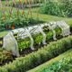 IDMARKET Serre châssis de jardin spéciale forçage L. 300 CM blanche