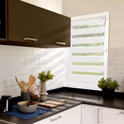 IDMARKET Store enrouleur zébré jour nuit 50 x 150 cm blanc