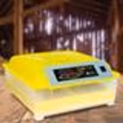 IDMARKET Couveuse automatique 48 oeufs incubateur autonome intelligent