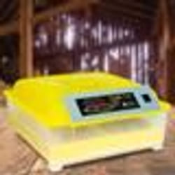 IDMARKET Couveuse automatique 48 oeufs incubateur autonome intelligent