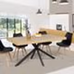 IDMARKET Table à manger rectangle ALIX 8 personnes pied araignée bois et noir 160 cm
