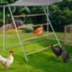 IDMARKET Grand perchoir pour poules 4 niveaux en bois compatible enclos