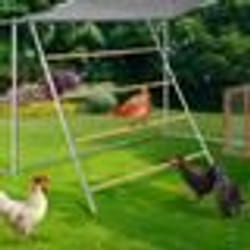 IDMARKET Grand perchoir pour poules 4 niveaux en bois compatible enclos
