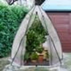 IDMARKET Serre dhivernage dôme bâche bulle 160 x 160 x 180 cm maxi chaleur balcon et terrasse