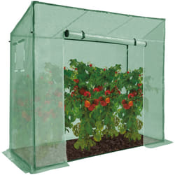 Idmarket - Serre de jardin verte toutes saisons avec fenêtre et porte zippée