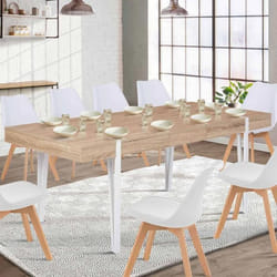 Table à manger rectangle extensible - IDMARKET - AUSTRIA - Bois et blanc - 6-10 personnes - 160-200 cm