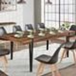 IDMARKET Table à manger extensible rectangle AUSTRIA 6-10 personnes bois foncé pied épingle noir 160-200 cm