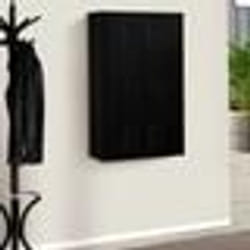 IDMARKET Armoire murale ESTER 2 portes métal noir design industriel