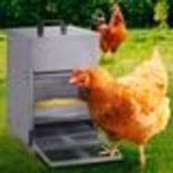 IDMARKET Mangeoire à pédale pour poules distributeur automatique 5 kg anti-nuisibles