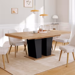 IDMARKET Table à manger extensible rectangle ELIAD 6-10 personnes bois et noir 160-200 cm