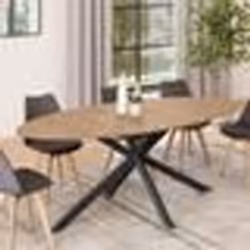 IDMARKET Table à manger ovale ALIX 10 personnes pied araignée bois et noir 200 cm