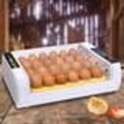 IDMARKET Couveuse automatique 24 oeufs incubateur autonome intelligent