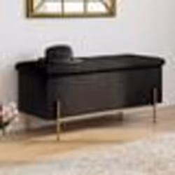IDMARKET Banc coffre rangement LOUIS avec pieds métal doré 100 cm velours noir
