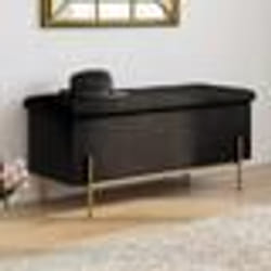 IDMARKET Banc coffre rangement LOUIS avec pieds métal doré 100 cm velours noir